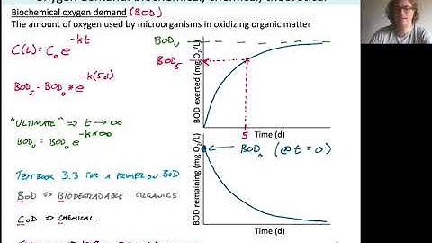 Environmental Engineering - BOD Primer