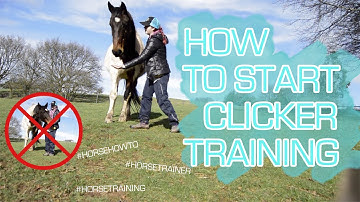 HOW TO START CLICKER TRAINING YOUR HORSE || TRAINING YOUR HORSE WITH POSITIVE REINFORCEMENT