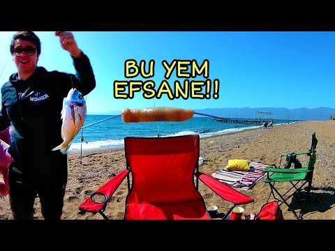 BİBİ !! ÇUPRA İÇİN BUNU İZLEMELİSİN!! ÇUPRANIN EN SEVDİĞİ YEM!!