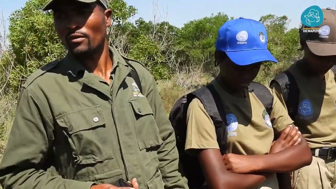 𝐅𝐞𝐥𝐢𝐳 𝐃𝐢𝐚 𝐝𝐨 𝐅𝐢𝐬𝐜𝐚𝐥 𝐝𝐞 𝐅𝐥𝐨𝐫𝐞𝐬𝐭𝐚 𝐞 𝐅𝐚𝐮𝐧𝐚 𝐁𝐫𝐚𝐯𝐢𝐚