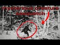 Explaining Bigfoot/sasquatch#California#Washington#US#Sasqatch#horror#