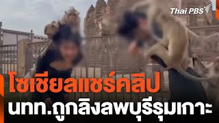 โซเชียลแชร์คลิป นทท.ถูกลิงลพบุรีรุมเกาะ | ข่าวค่ำมิติใหม่ | 31 มี.ค. 67