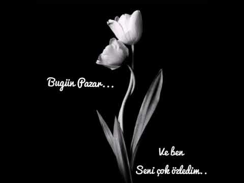Ali Baran -