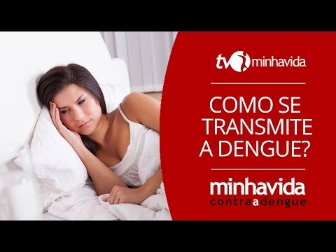 Dengue: como ocorre a transmissão da doença?