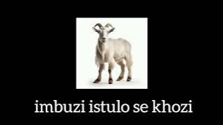 Imbuzi umculo wolwazi
