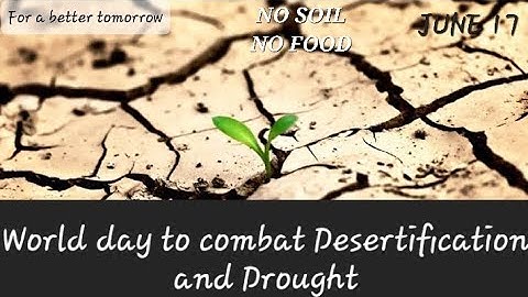 World day to combat desertification and drought 2022 |Awareness on conserving Earth 🌎|