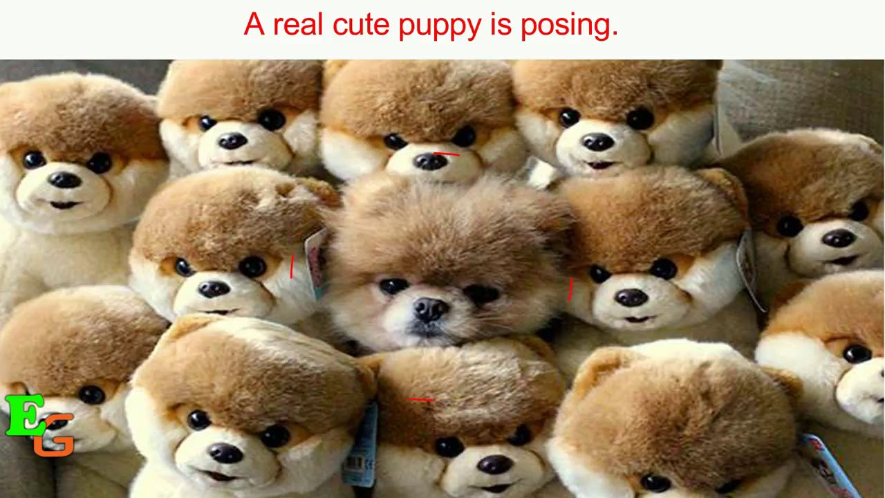 20 BRAIN SQUEEZING RIDDLES FOR KIDS AND PUZZLES WITH ANSWERS