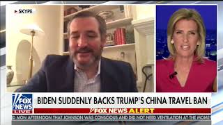 Ted Cruz on The Ingraham Angle | April 6, 2020