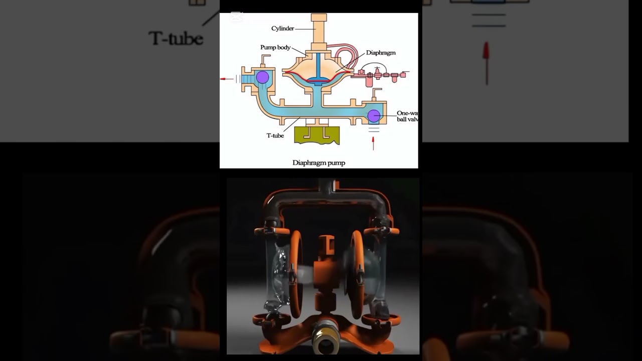 Diaphragm pump working