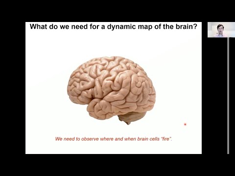 UC Berkeley Lecture on Electrophysiology: Watching the Brain in Action