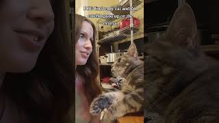 My cat has heard more tea than anyone I know. ☕🐱 #cat #cats #kitten #kittens @momlifewithkrystal