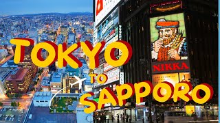 Exciting Journey from Tokyo to Sapporo - Japan domestic travel screenshot 5
