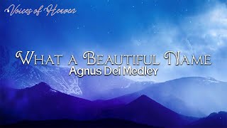 Travis Cottrell - What a Beautiful Name It Is / Agnus Dei Medley (Lyrics Video)
