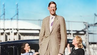 Rare Footage Discovered Of World's Tallest Man To Have Ever Lived