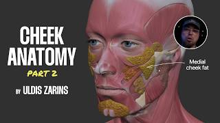 Cheek Anatomy for Artists (Part 2)
