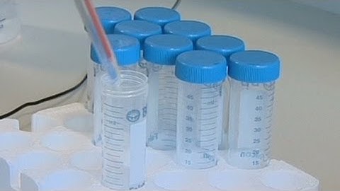 Where infotech meets biology