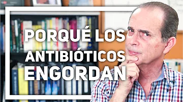 ¿Los antibióticos te hacen engordar?