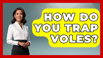 How Do You Trap Voles? - Insects and Invaders