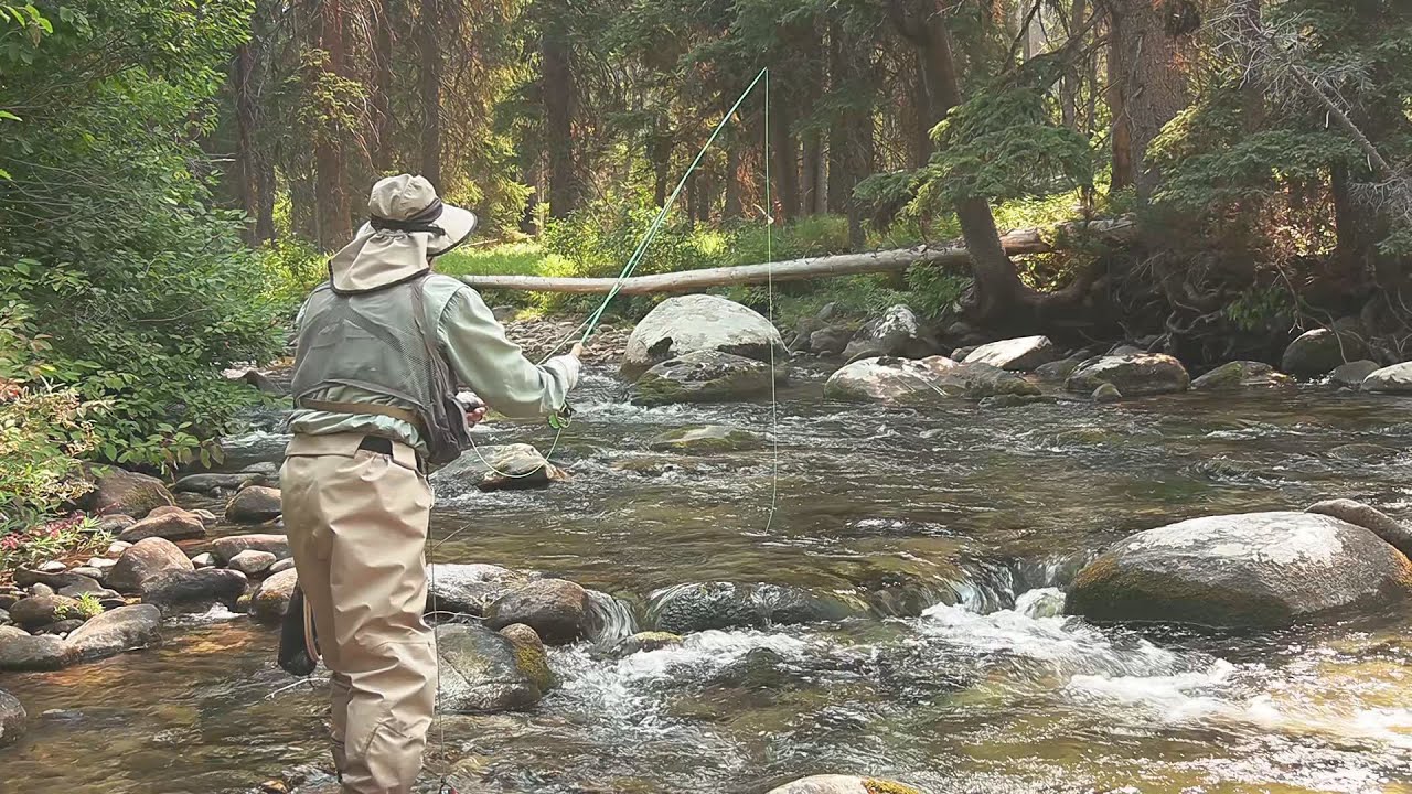 Fishing the East Fork Bitterroot River, Montana YouTube