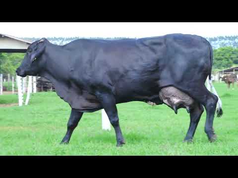 LOTE 27  8612 BN