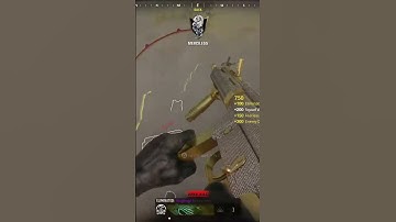 Aim -10/10 Eye sight - 1/10 💨