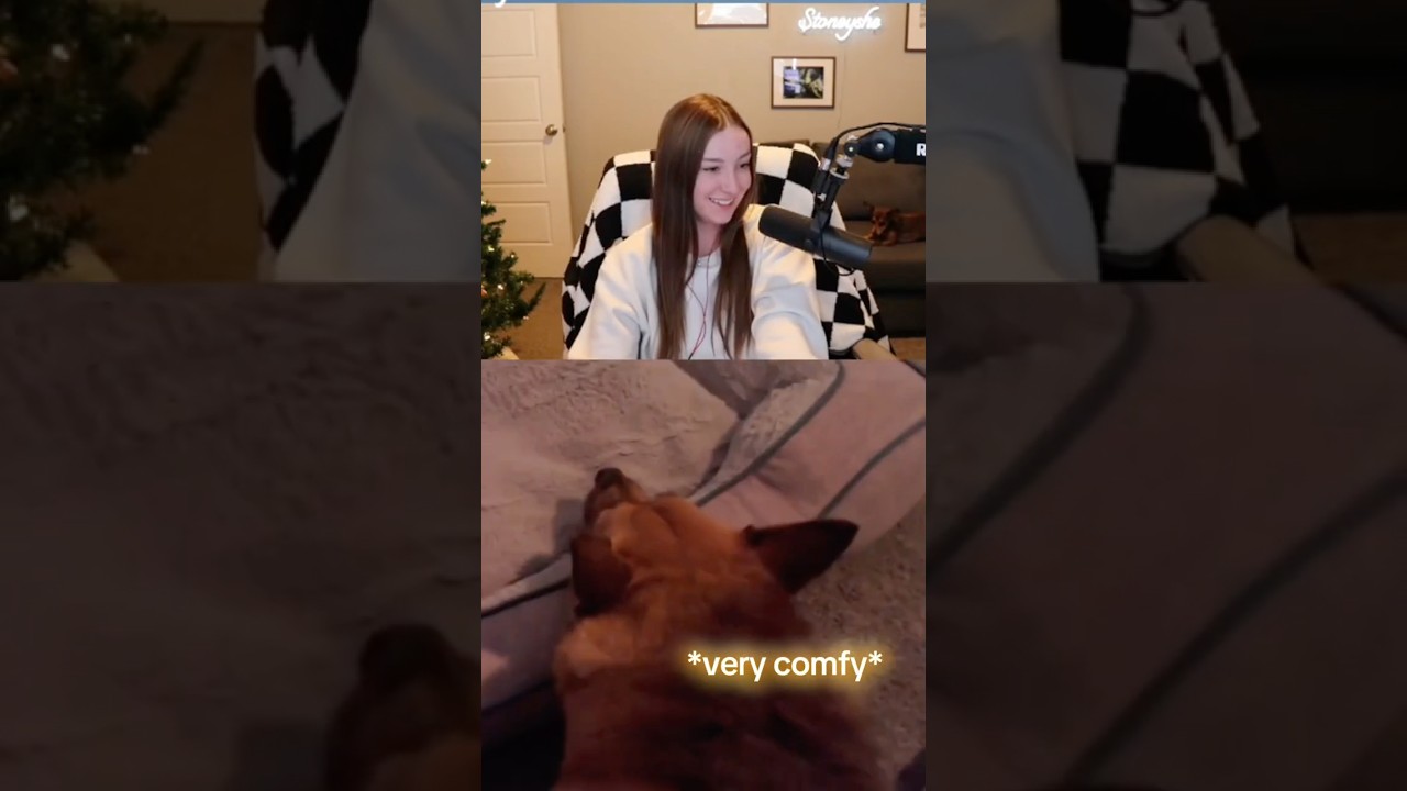 Costreaming with dogs
