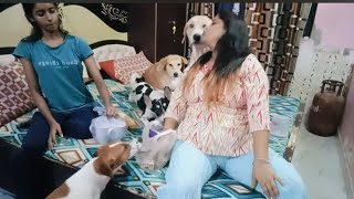 They Dont Let Me Rest For Even Two Minutes, They All Together Make Me Eat And Drink The Whole Da...