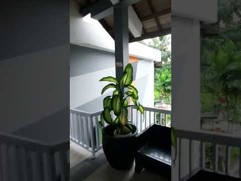 Hotel Grand Elty Krakatoa | Wisata Kalianda Lampung Selatan