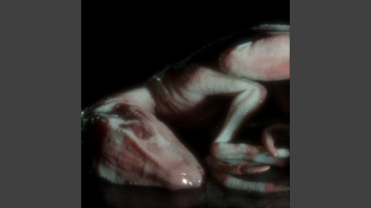 Watch Flim on YouTube Watch Flim on YouTube