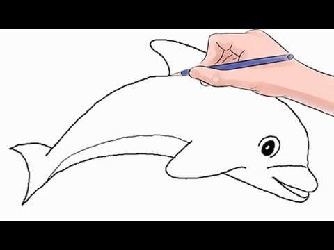 Video: Ինչպես նկարել դելֆին ծովում