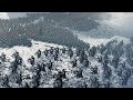 Battle at Khazid Bordkarag - Dwarfs vs High Elves - Total War WARHAMMER 2 Cinematic Battle