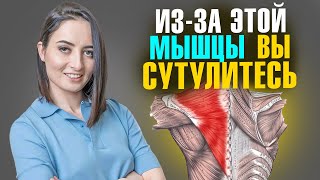 ЭТА мышца зажата у 90% людей | 5 ПРОСТЫХ упражнений, чтобы ЭТО исправить