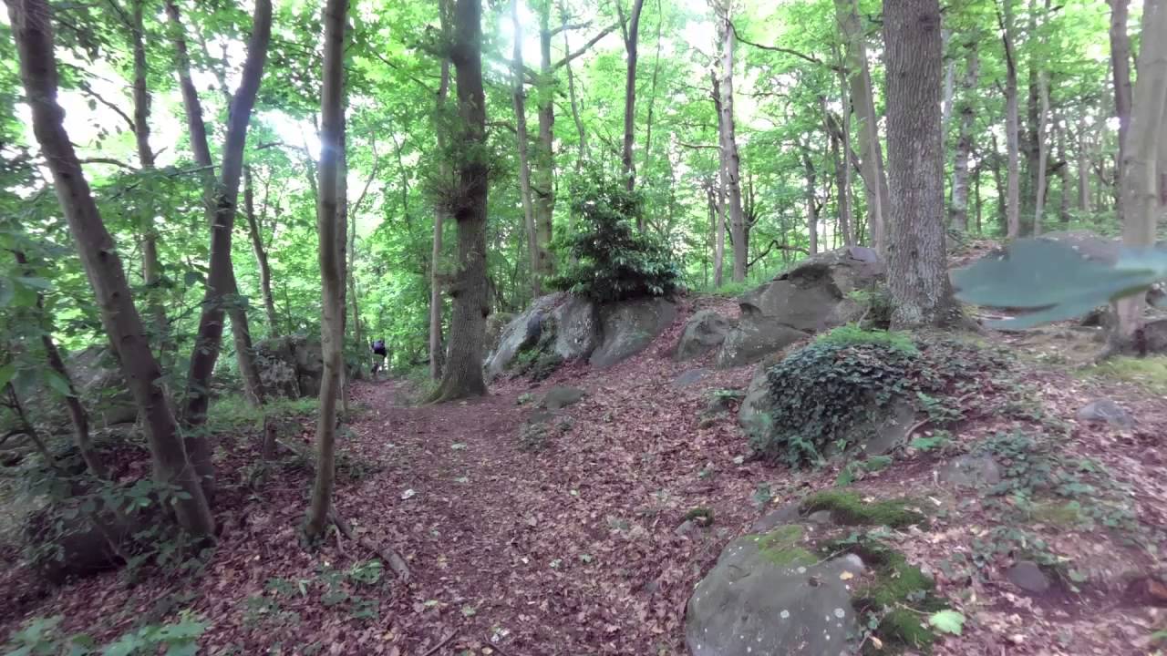 1er test de mon Specialized Enduro S-Works Troy Lee Designs ltd