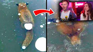 видео: Поразительные Находки Во Льду | РЕАКЦИЯ на WTFакт картинка: Поразительные Находки Во Льду | РЕАКЦИЯ на WTFакт
