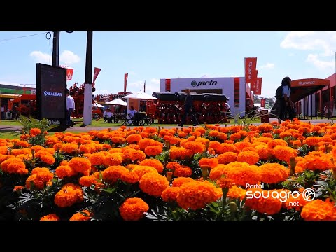 Jacto oferece treinamento para agricultores aproveitarem o melhor da tecnologia no campo