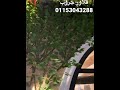 شجر زينه نخل صناعي من فلاور جروب 01153043288 شجر زينه نخل صناعي من فلاور جروب 01153043288
