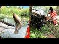 ティラピア釣り、入れ食い状態、串焼きにして猫と食べる【ジャングルクッキング】【日本語字幕】