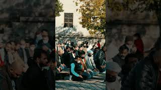 HABIB SYECH‼️Sholatullah Ala Yamani #habibsyech