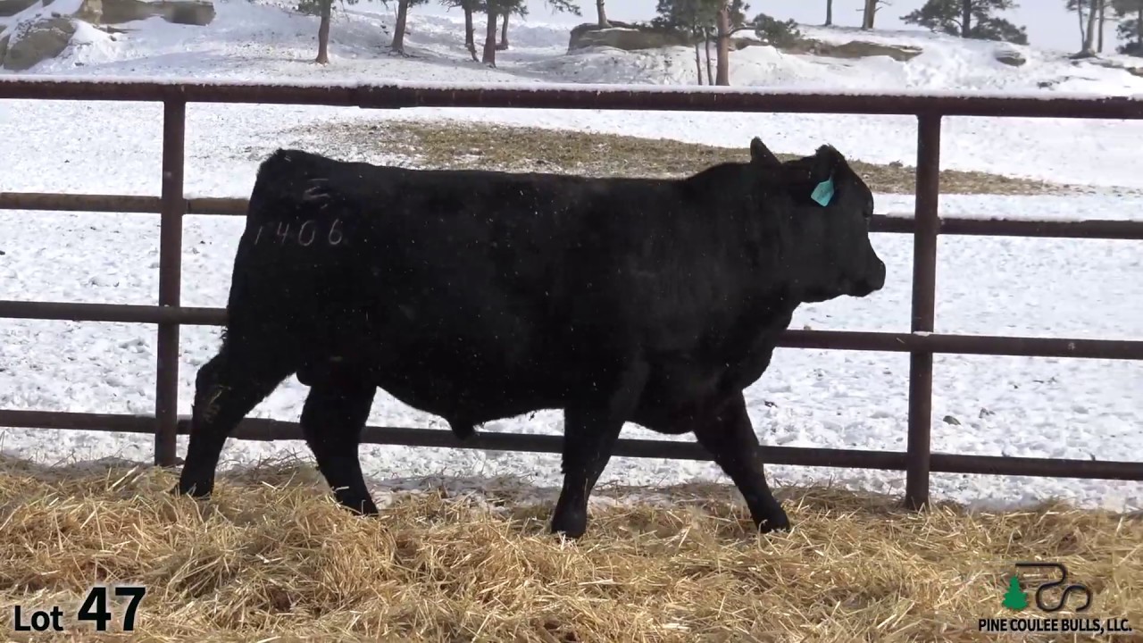 Lot 47 YouTube