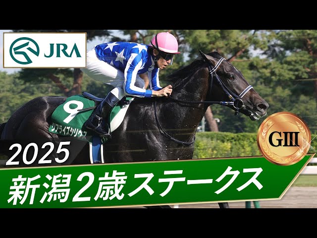 【非売品】ロードクエスト 新潟2歳ステークス 勝利記念ジャージ ウマ娘 L 競馬 非売品】ロードクエスト 新潟2歳ステークス 勝利記念ジャージ