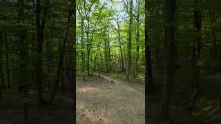 #singletrail #moravsky kras #marianske udoli #haibike #nduro