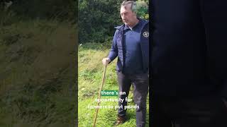 There Are Surprising Things You Can Do for Nature on Every Farm