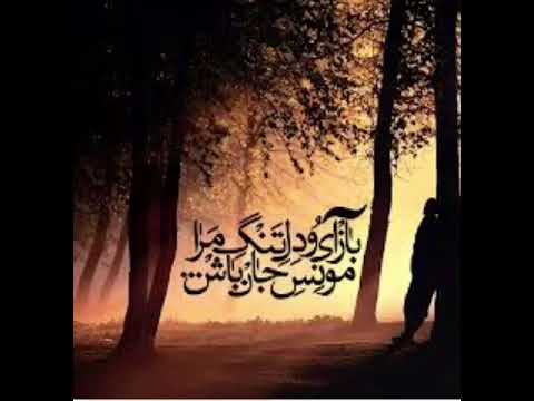 باز آی و دل تنگ مرا مونس جان باش