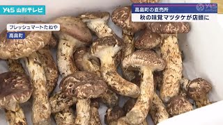 山形県高畠産　松茸　五本 mqdefault.jpg