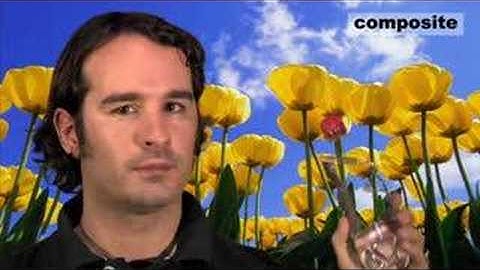 VirtualStudio2Go: Digital Video Composition for Real Environ