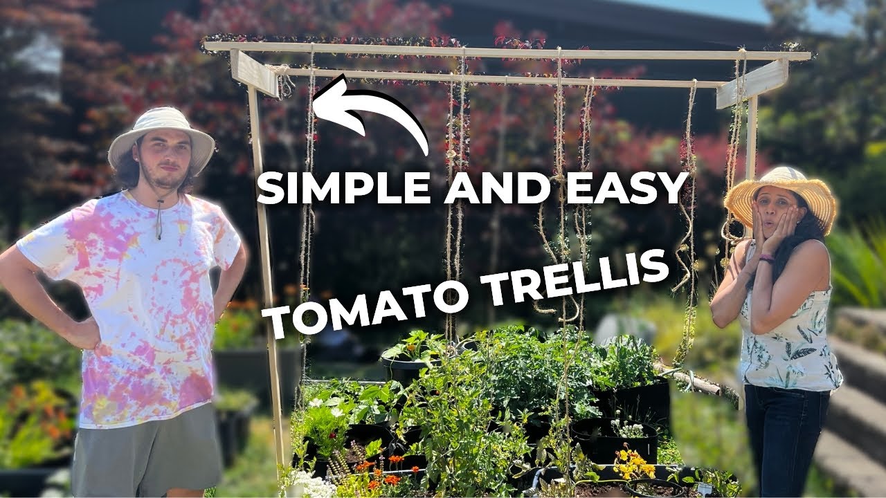 DIY Tomato Trellis Made With Just String and Lumber - YouTube