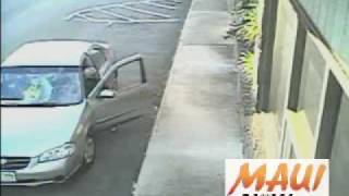 Maui Sign Snatcher - Alan Arakawa MauiNOW.com Aug 2 2010 by Wendy Osher.wmv