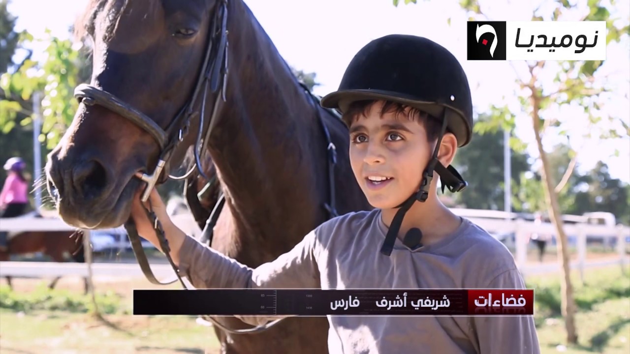 الفروسية..  رياضة تصارع التهميش