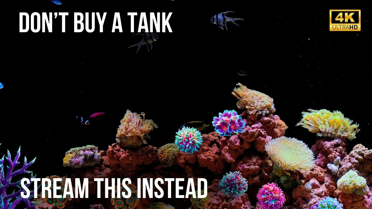 🌌 Успокаивающий Морской Аквариум в 4K | Реалистичная Подводная Атмосфера и Расслабление с Рыбами Р..