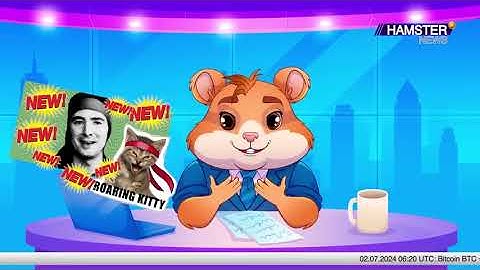 Unlock Web3: Hot Wallet Possibilities Explored Hamster Academy